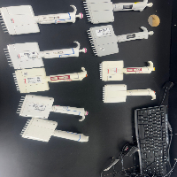 Thermo Finnpipette Multichannel Pipettes image 1